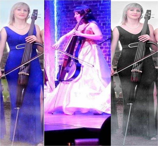 cello artists bengaluru